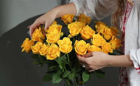 regalan flores amarillas